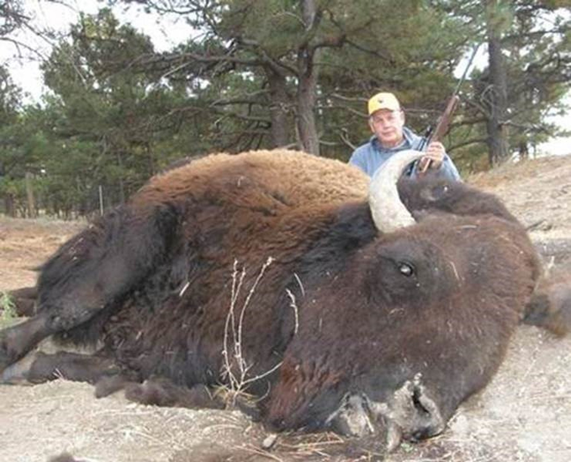 buffalo hair cutter