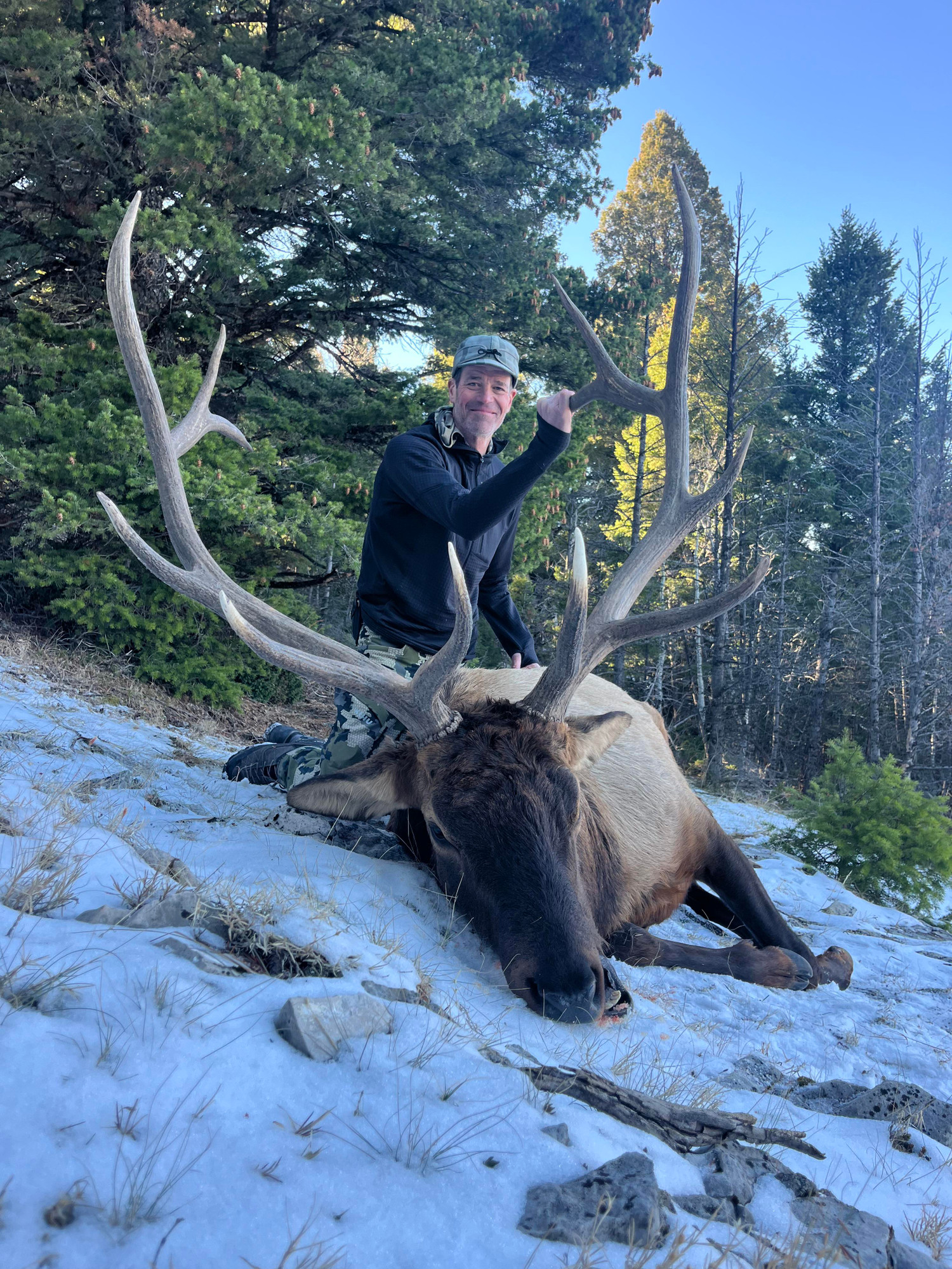 Hunt #9036 Guided Elk/Mule Deer/Whitetail Private/Public