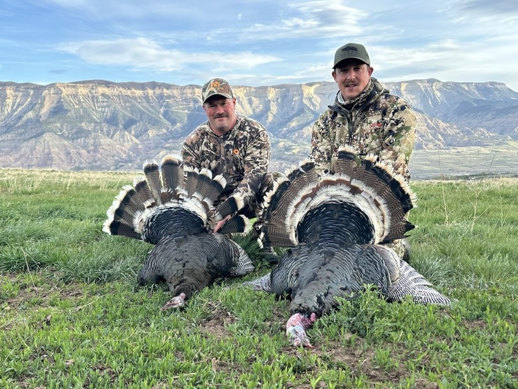 Guided Colorado Merriam turkey hunt
