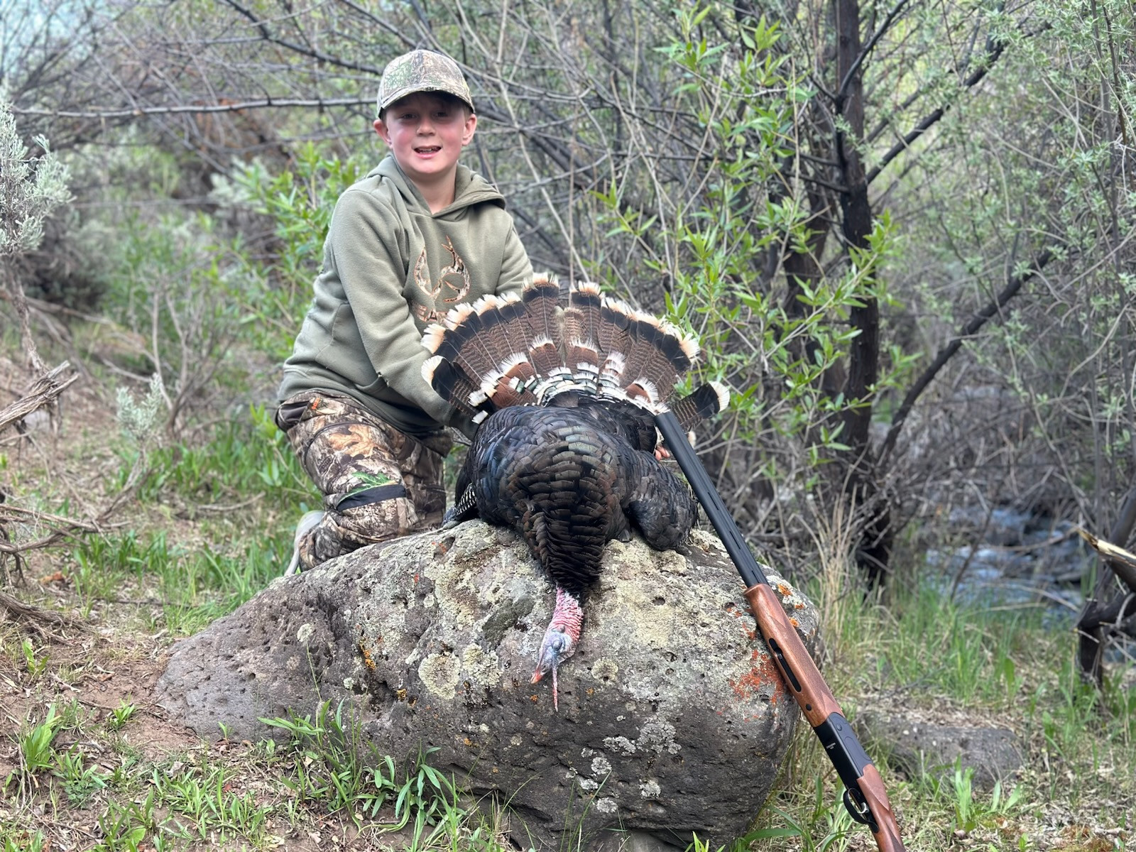 Guided Colorado Merriam turkey hunt