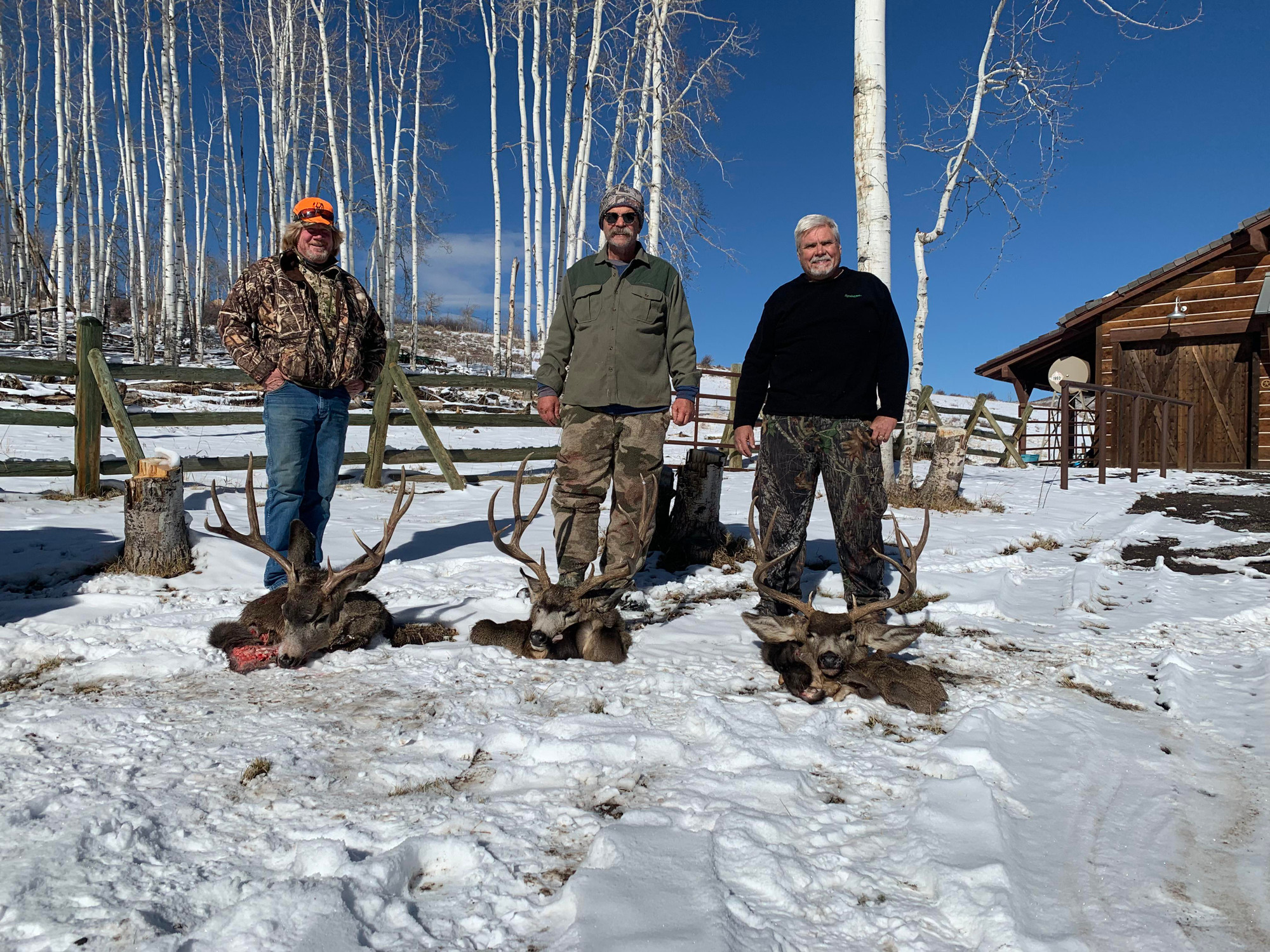 Hunt #5205 DIY Elk Lodge for Large Group, 850 Ac Private USFS
