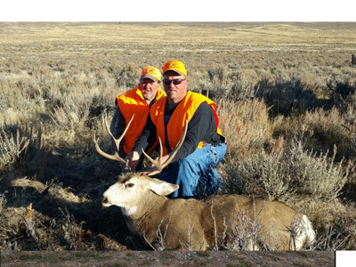 Mule deer trophy