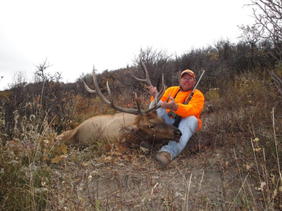 Bull elk on private land with cabin.