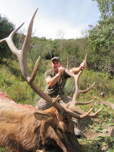 Trophy unit elk hunting in Colorado.