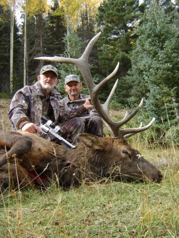 Nice bull elk on a guided hunt.