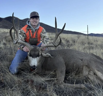 Mule deer trophy