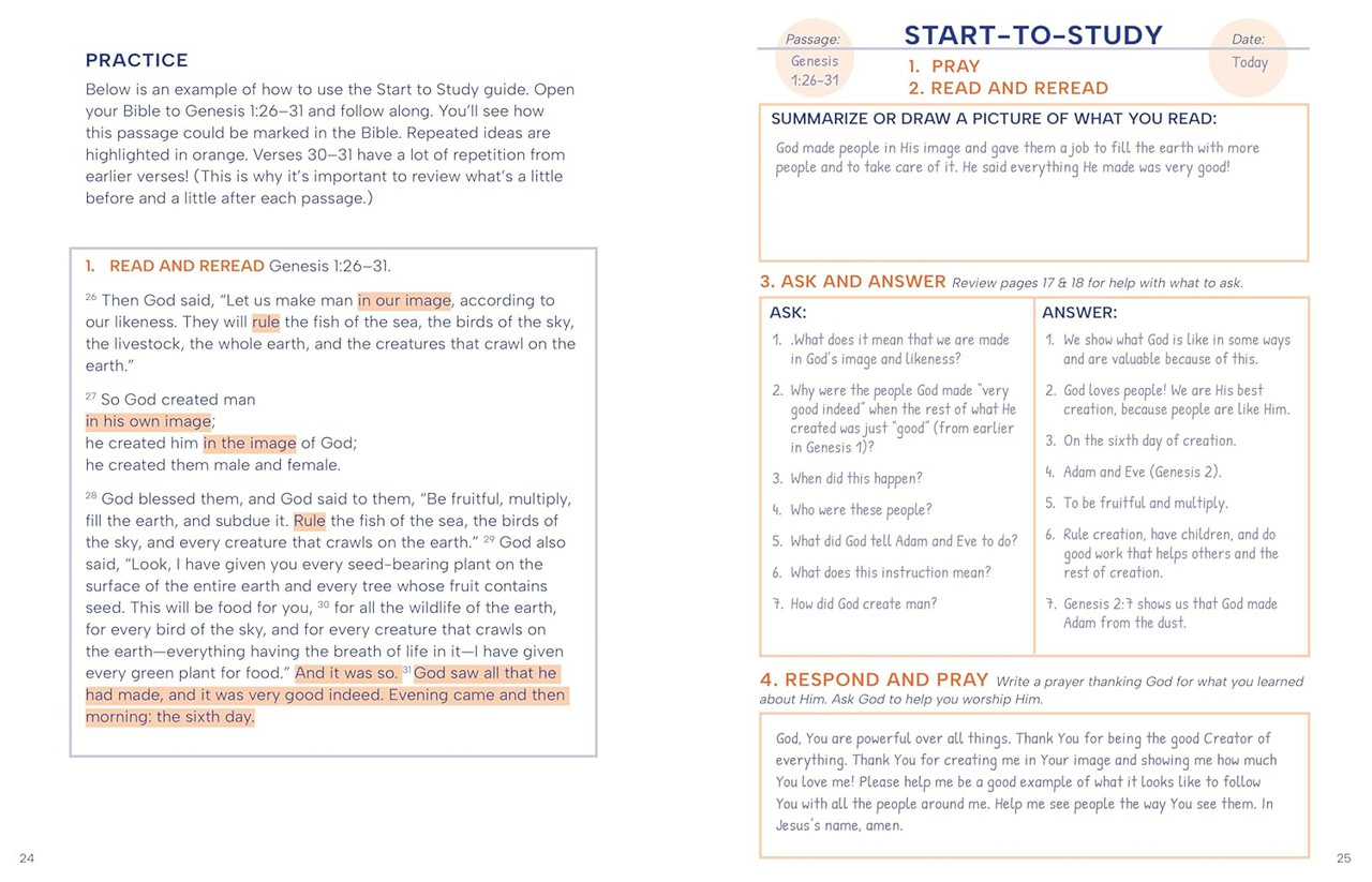 Discovering the Bible by Mary Wiley