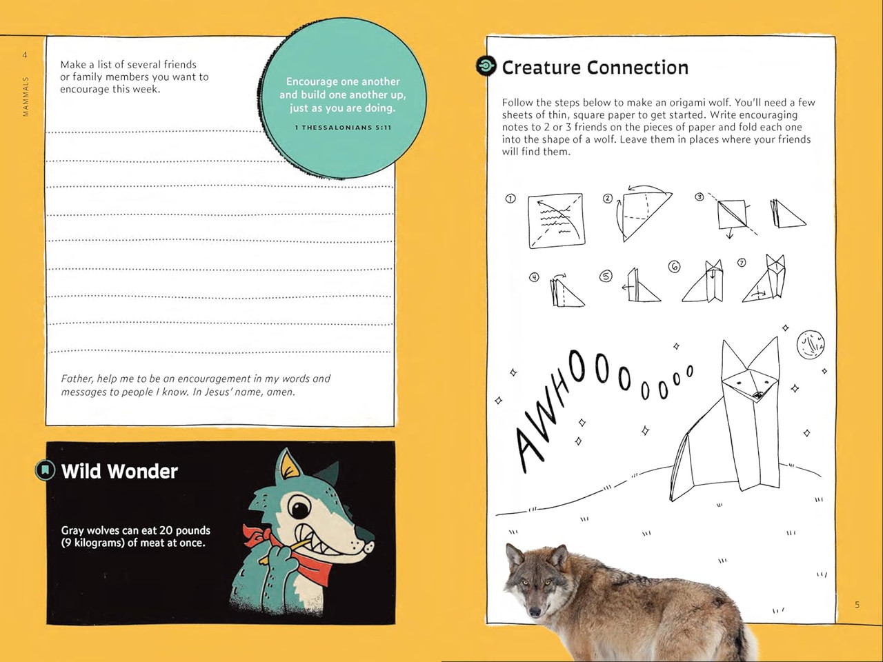 Quirky Critter Devotions by Annette Whipple