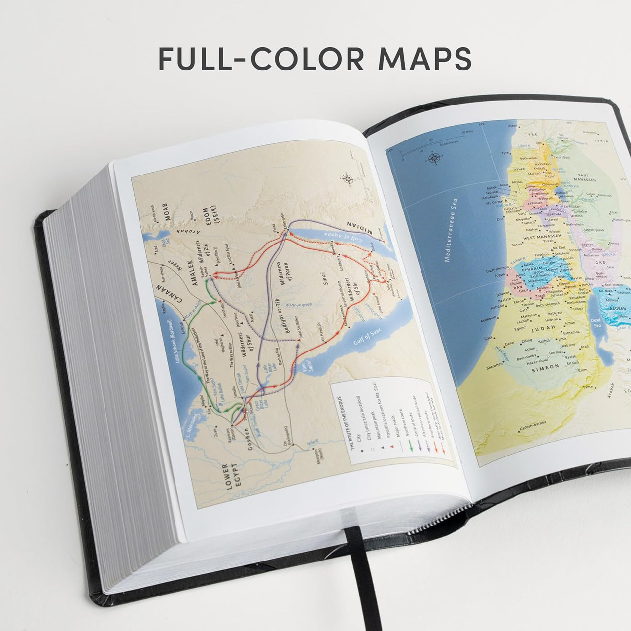 raw vision #22〜29 8冊セット KJV Large Print Reference Bible, Crown of Thorns