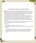 C Is for Christian: An A-Z Treasury of Who We Are in Christ