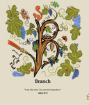 C Is for Christian Inside Look