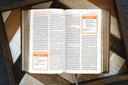 KJV, Teen Study Bible, Leathersoft, Brown, Comfort Print