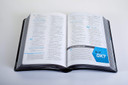 Boys Life Application Study Bible NLT, Tutone