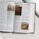 CSB Essential Teen Study Bible, Weathered Gray Cork Leathertouch Inside Look