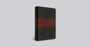 ESV Large Print Personal Size Bible (Trutone, Forest/Tan, Trail Design)