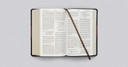 ESV Large Print Personal Size Bible (Trutone, Forest/Tan, Trail Design)