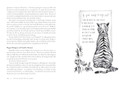 You Bet Your Stretch Marks: Finding Beauty and Worth in the Ways Motherhood Marks Our Bodies and Souls