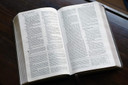 NIV, Foundation Study Bible, Leathersoft, Brown, Red Letter