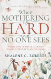 When Mothering Is Hard and No One Sees Front Cover