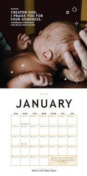 One Year Pray for the Family 2024 Calendar One Year Pray for the Family 2024 Calendar