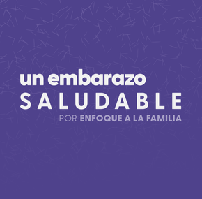 Embarazo Sano (Healthy Pregnancy) Pocket Guide - Bundle of 500 Embarazo Sano (Healthy Pregnancy) Pocket Guide - Bundle of 500
