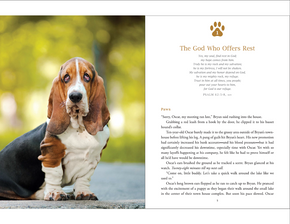 Paws in His Presence: 50 Inspirational Animal Stories to Help You Pray & Ponder the Psalms Paws in His Presence: 50 Inspirational Animal Stories to Help You Pray & Ponder the Psalms