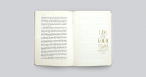 ESV Illuminated Scripture Journal: John ESV Illuminated Scripture Journal: John
