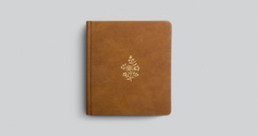 ESV Journaling Study Bible Nubuck Caramel