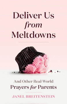 Deliver Us from Meltdowns Front Cover