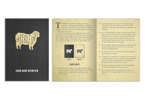 The Bible Is Funny Card Game Inside Look