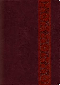 Study Bible-ESV-Large Print Trellis Design