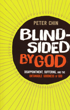 Blindsided by God Blindsided by God