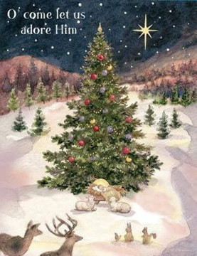 Let Us Adore Him Christmas Cards Let Us Adore Him Christmas Cards