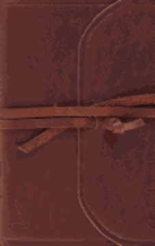 ESV Thinline Bible (Flap with Strap)