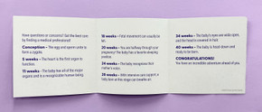 The First Nine Months Pocket Guide - Bundle of 500 The First Nine Months Pocket Guide - Bundle of 500