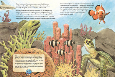 The Things God Made: Explore God's Creation Through the Bible, Science, and Art