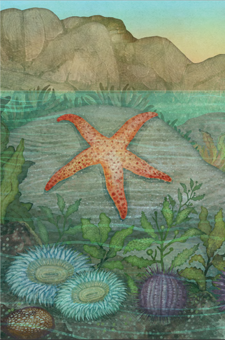 Wonders of the Ocean Realm (Marvels of the Wild)