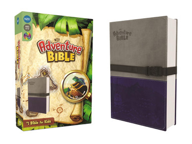 Adventure Bible, NIV Gray Front Cover and Box
