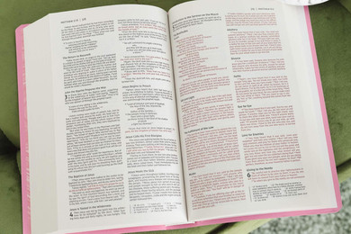 NIV, Gift and Award Bible, Leather-Look, Pink Inside Look