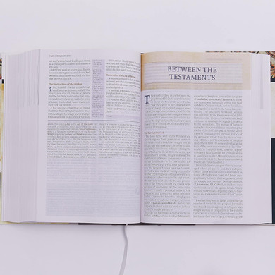 The KJV Study Bible, Imitation Leather, Burgundy, Full-Color Edition Inside Look