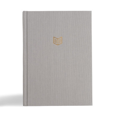 CSB She Reads Truth Bible, Grey Linen Front Cover