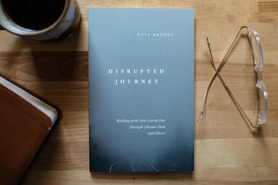 Disrupted Journey Front Cover