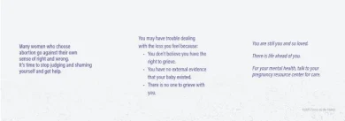 Healing the Hurt Pocket Guide