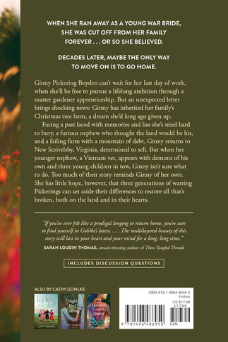 This Promised Land Back Cover