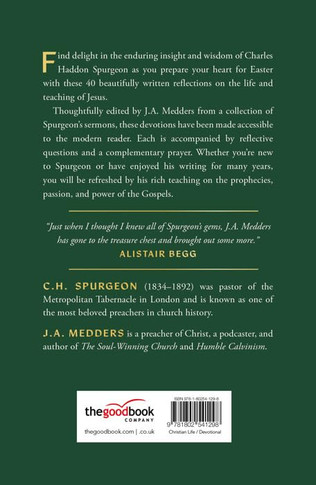 The Risen King Back Cover