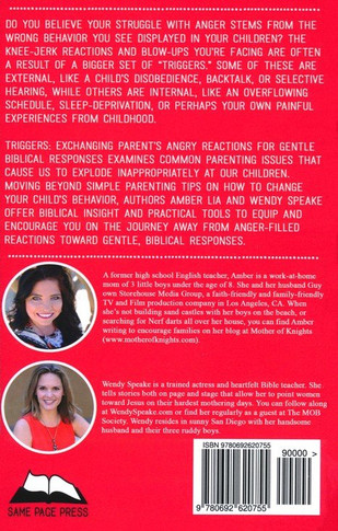 Triggers Back Cover