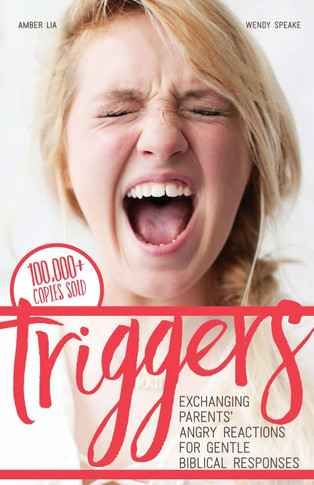 Triggers Front Cover