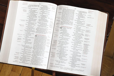 NIV, Thompson Chain-Reference Bible, Leathersoft, Brown, Red Letter, Comfort Print