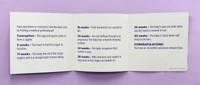 The First Nine Months Pocket Guide - Bundle of 500