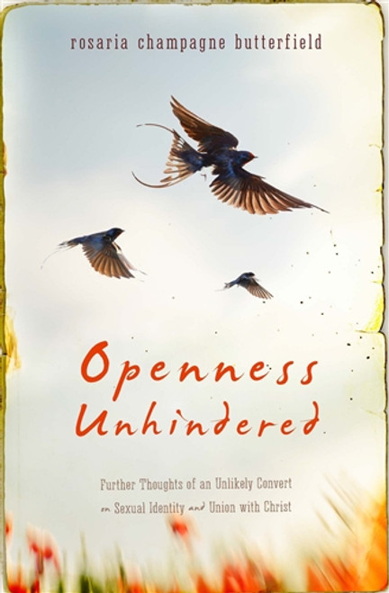 Openness Unhindered (Paperback)